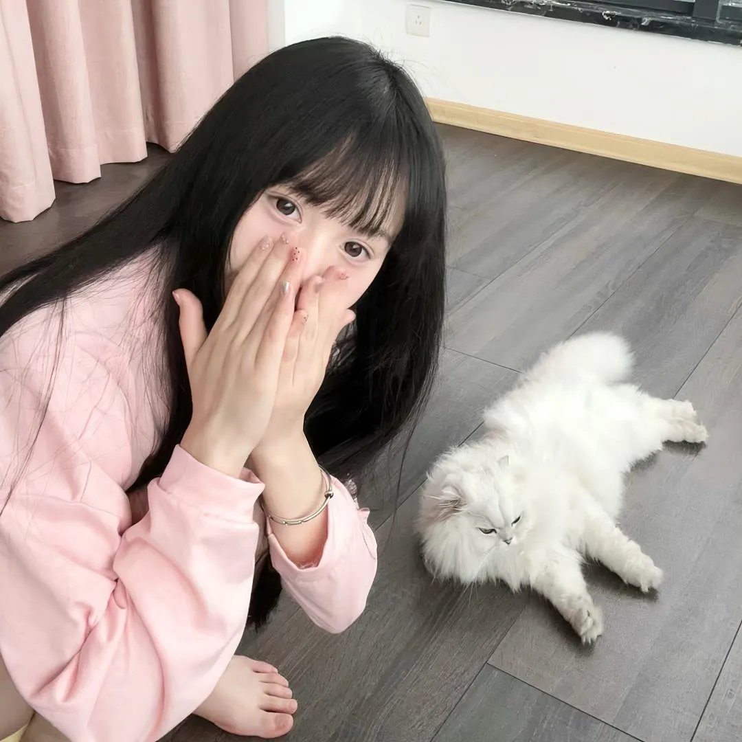 圆圆的故事